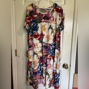 Lularoe 3XL Jessie dress